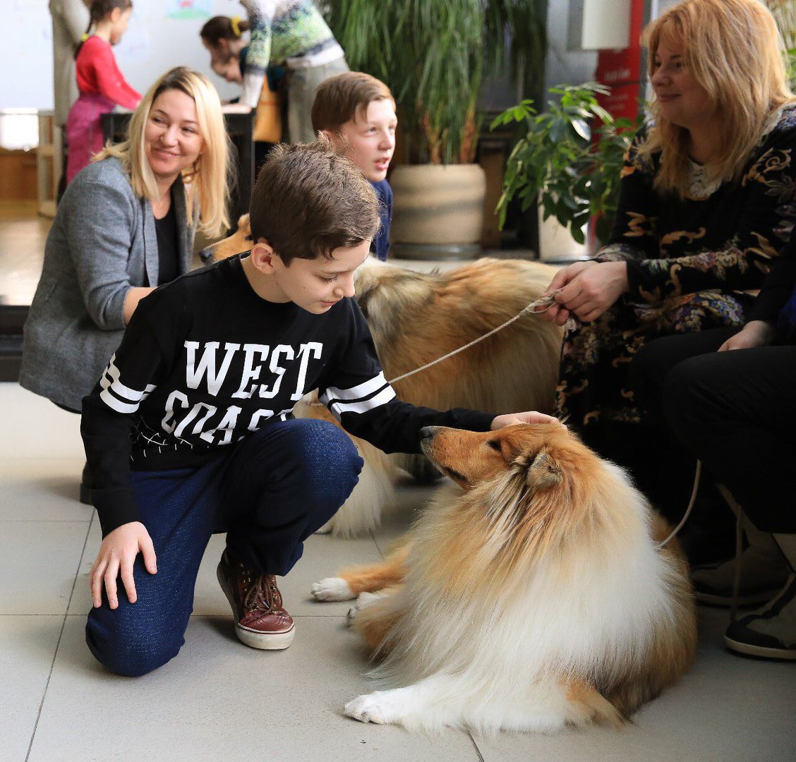 выставка людей собак. губерова тутаев. выставка людей собак. сергей куретов. 470 учебный центр служебного собаководства вс рф.